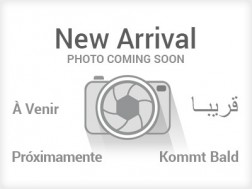 2023 Chevrolet Silverado